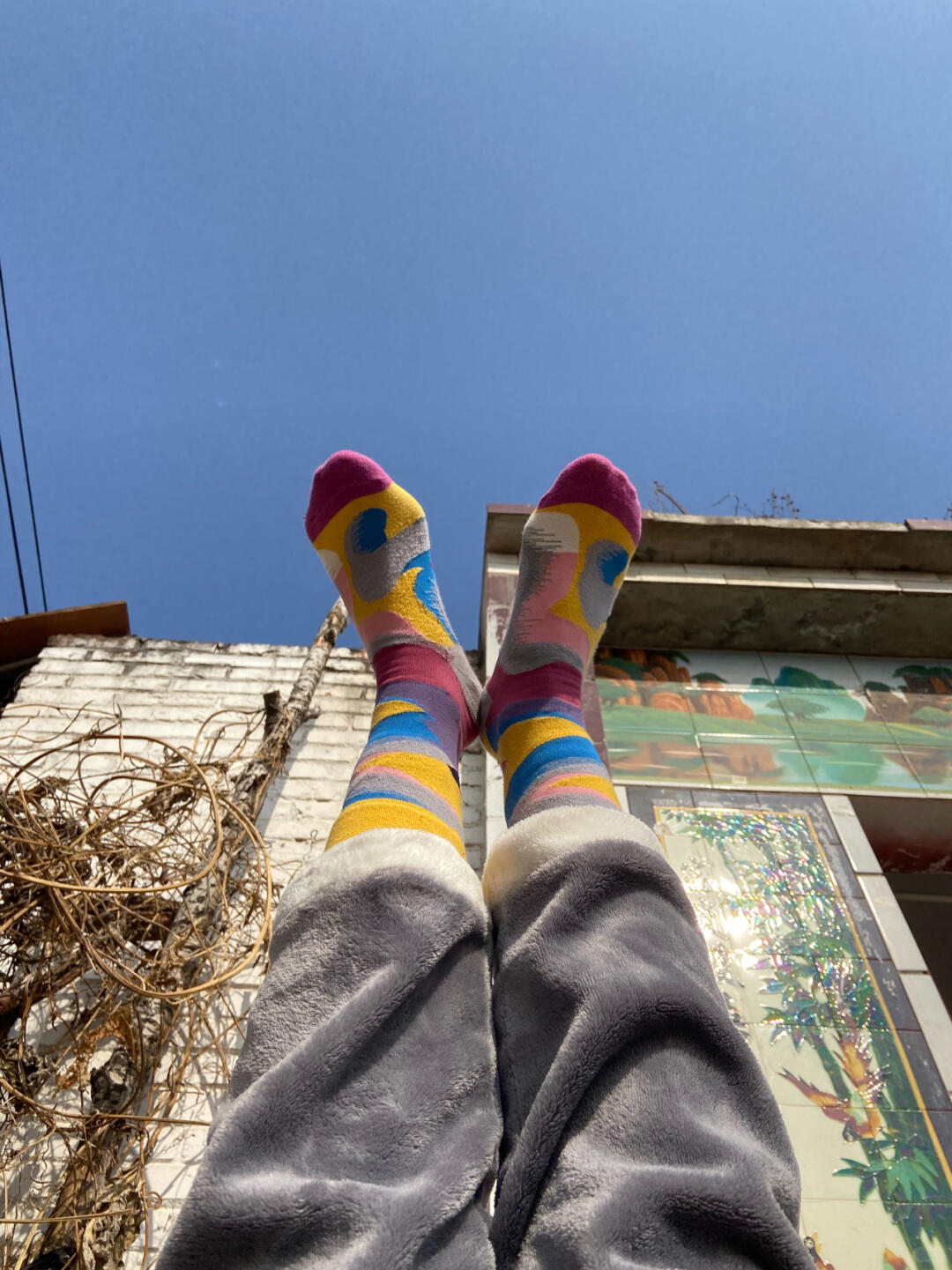 Color Splash Crew Socks